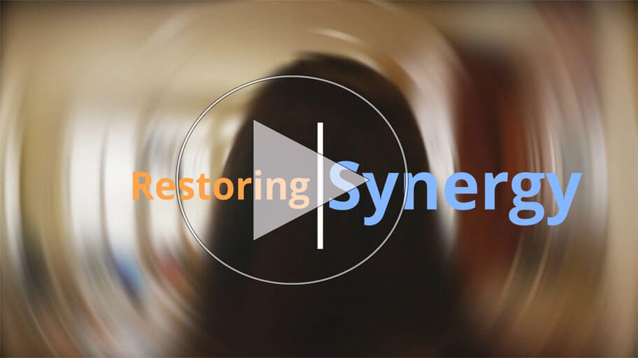 Vestibular Continuing Education - Restoring Synergy course covering central and peripheral vestibular disorders